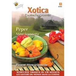 pimiento - chile Madame Jeanette