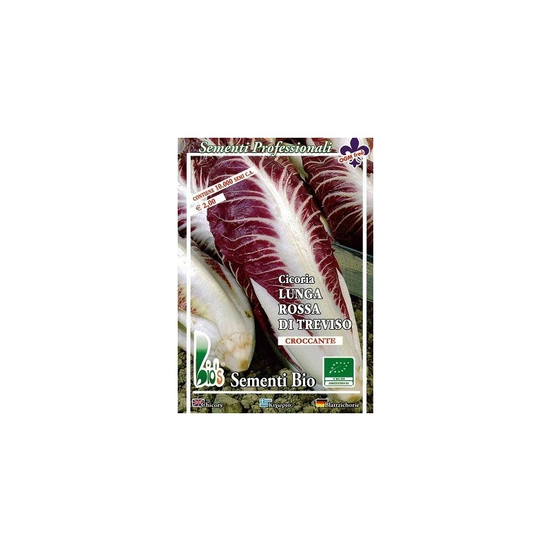 achicoria rossa di Treviso - semillas ecolÃ³gicas