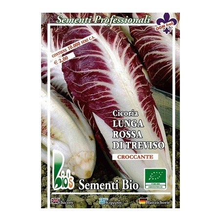 achicoria rossa di Treviso - semillas ecolÃ³gicas