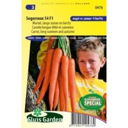 zanahoria sugarsnax F1