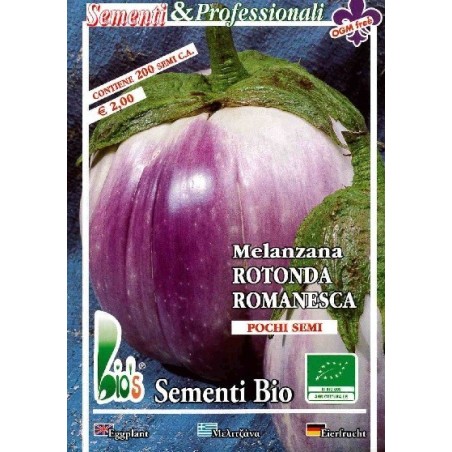 berenjena redonda romanesca - semillas ecologicas