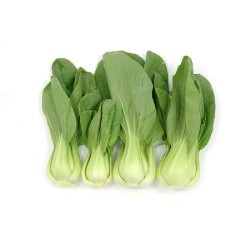 col china pak choi - semillas no tratadas