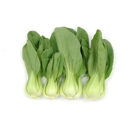 col china pak choi - semillas no tratadas