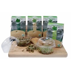 kit de germinado ecolÃ³gico de rÃ¡banos