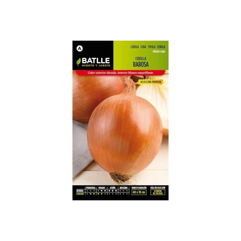 cebolla babosa sel primosa - semillas batlle