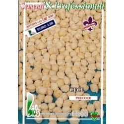 garbanzo gigante de Altamura - semillas ecologicas