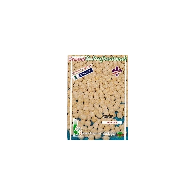 garbanzo gigante de Altamura - semillas ecologicas