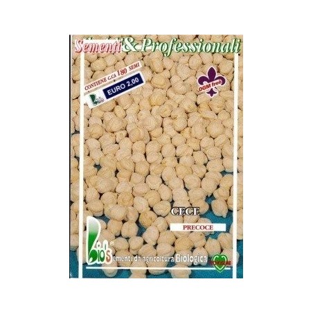 garbanzo gigante de Altamura - semillas ecologicas