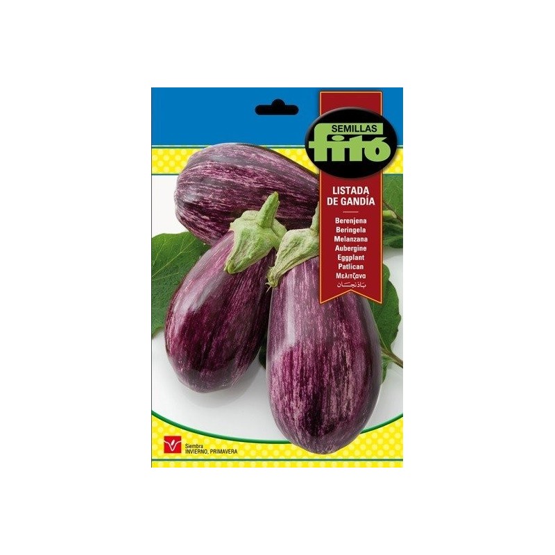berenjena listada de gandia FitÃ³