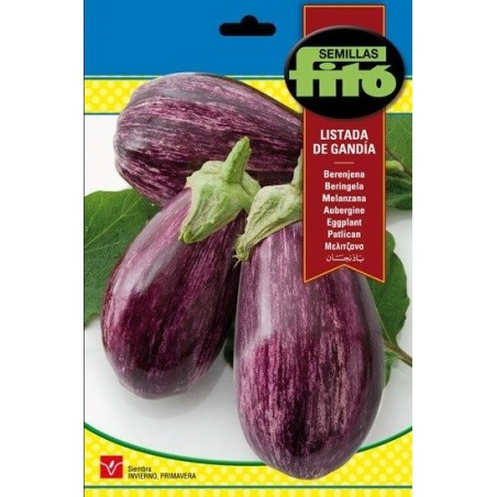 berenjena listada de gandia FitÃ³
