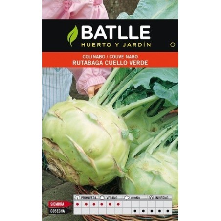 colinabo rutabaga cuello verde