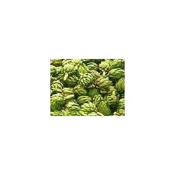 alcachofa verde globo (semillas sin tratamiento)