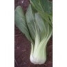 pak choi lunar queen (semillas sin tratamiento)