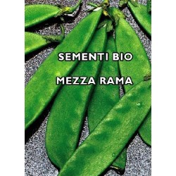 guisante tirabeque carouby - semillas ecologicas