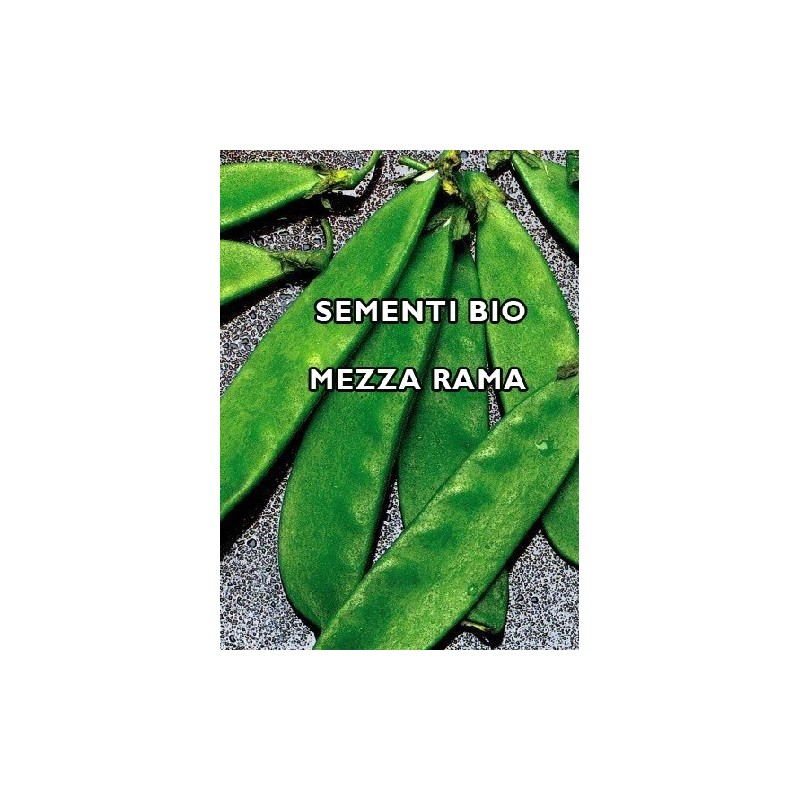 guisante tirabeque carouby - semillas ecologicas