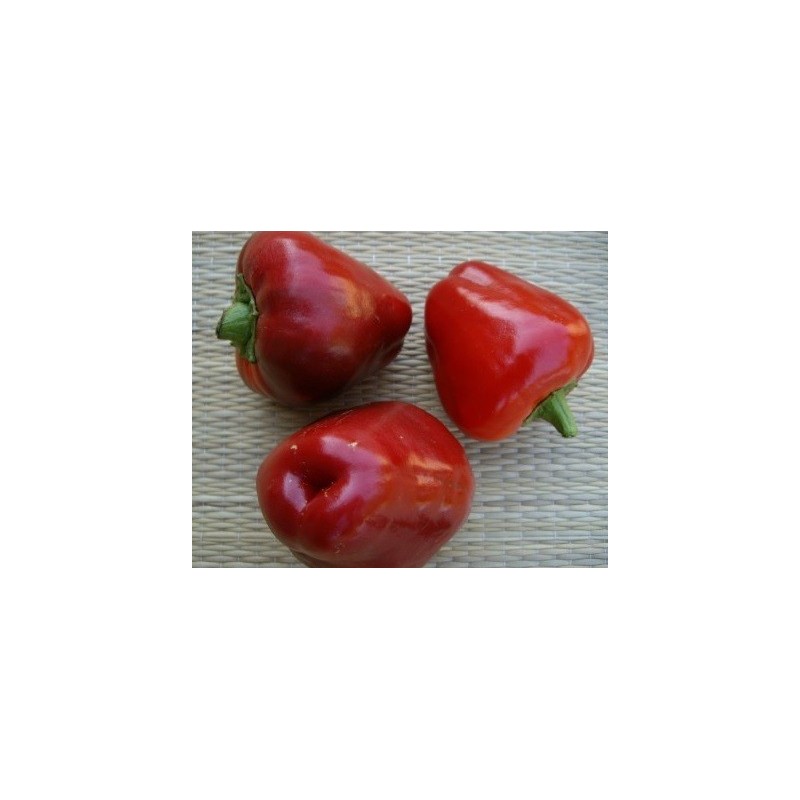 semillas de Ã±ora ecologicas