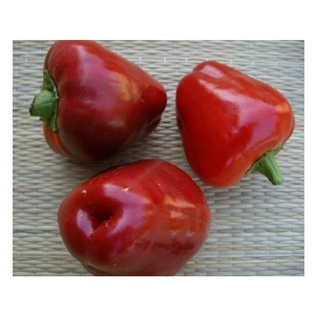 semillas de Ã±ora ecologicas