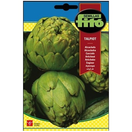 alcachofa Talpiot