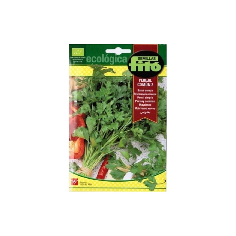 perejil comun 2 (semillas ecolÃ³gicas)