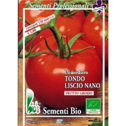 tomate ACE 55 VF (semillas ecolÃ³gicas)