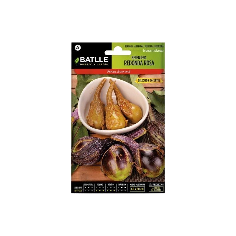berenjena redonda rosa sel. encurtir