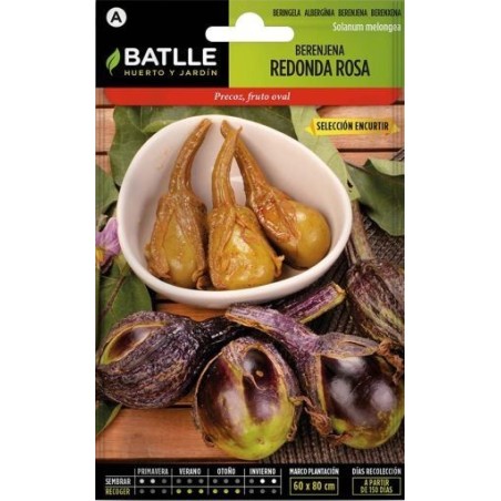 berenjena redonda rosa sel. encurtir