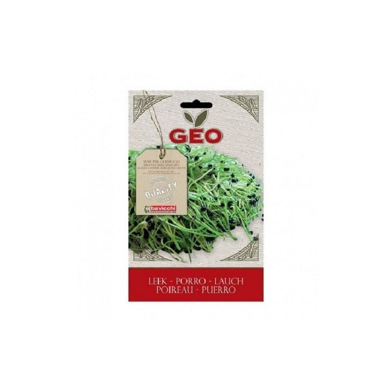 puerro para germinar geo