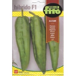 pimiento Alicum F1