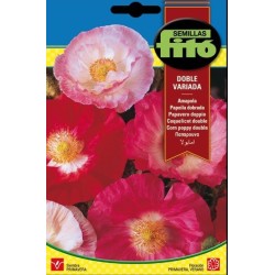 amapola doble variada