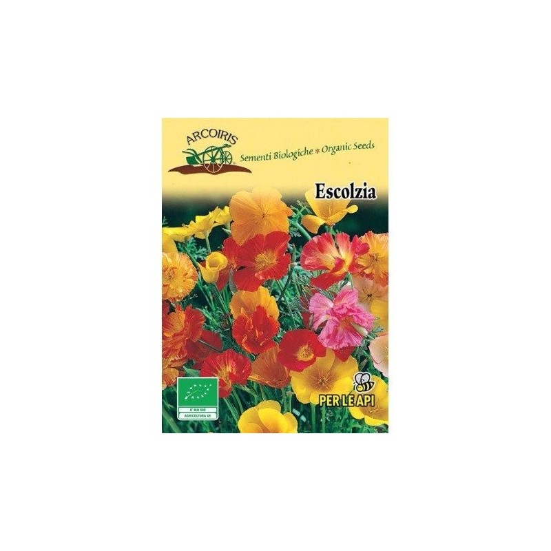 amapola de California (Eschscholzia californica) semillas ecolÃ³gicas