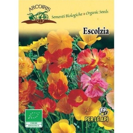 amapola de California (Eschscholzia californica) semillas ecolÃ³gicas