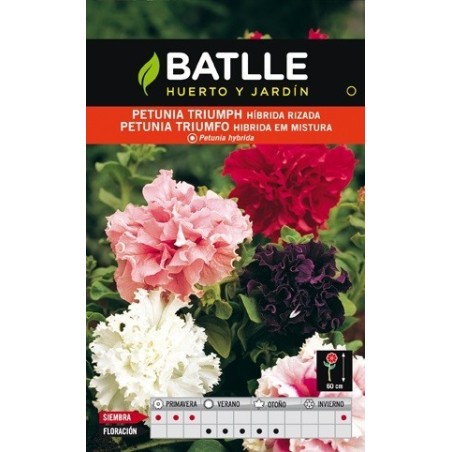 petunia triumph hÃ­brida rizada