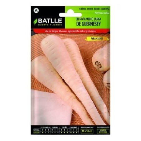 semillas de chirivÃ­a Guernesey