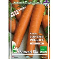zanahoria nantesa - semillas ecolÃ³gicas bioseme