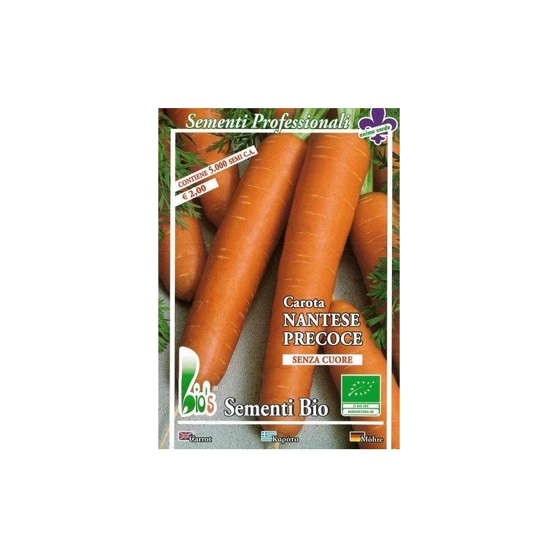 zanahoria nantesa - semillas ecolÃ³gicas bioseme
