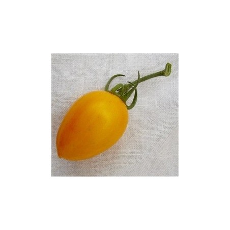 tomate blush (semillas ecolÃ³gicas)