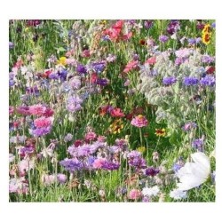 flores para las abejas (semillas ecolÃ³gicas)