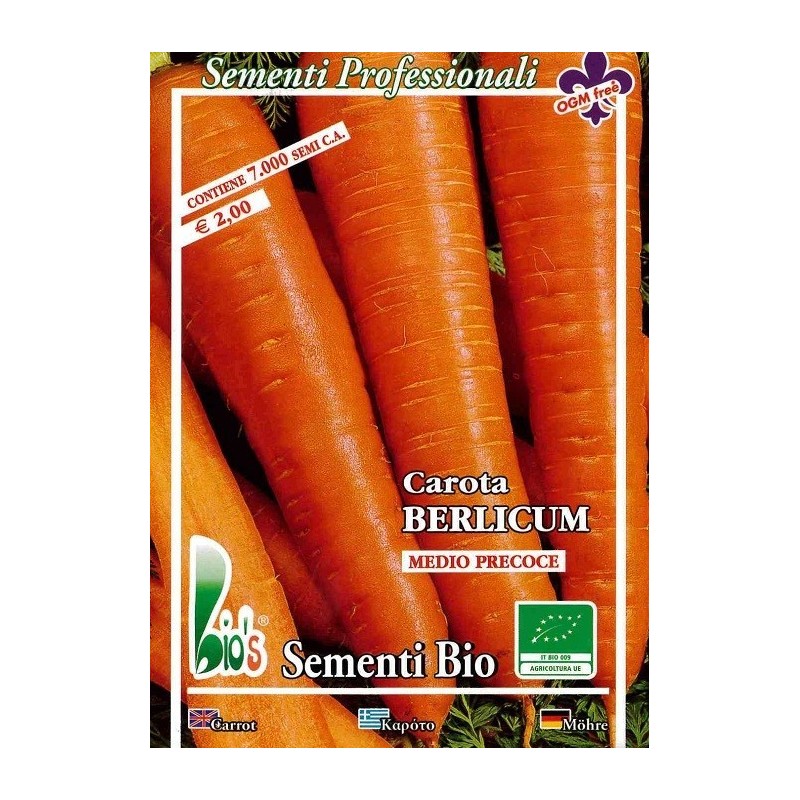 zanahoria berlicum - semillas ecolÃ³gicas