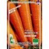 zanahoria berlicum - semillas ecolÃ³gicas
