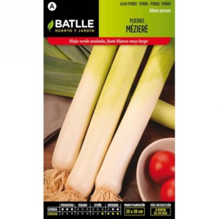 puerro meziere