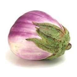 Berenjena Rosa Bianca - semillas no tratadas