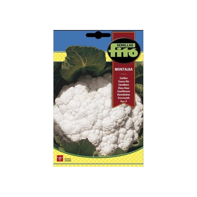 coliflor Montalba