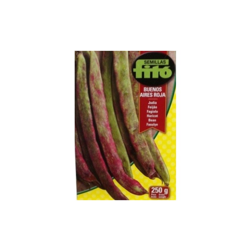 judia buenos aires roja