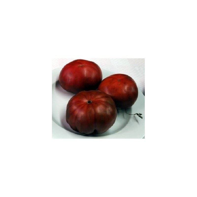 Tomate negro de Crimea - semillas sin tratamiento
