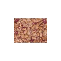 alubia pinta de Leon