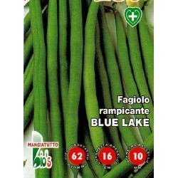 judia blue lake (semillas ecolÃ³gicas)