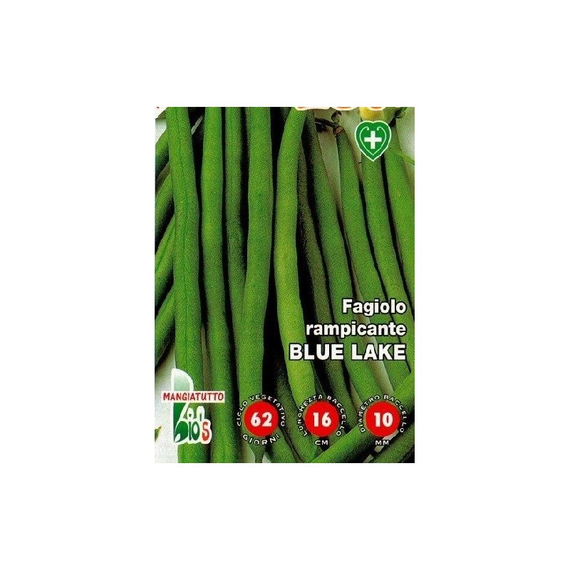 judia blue lake (semillas ecolÃ³gicas)