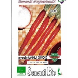 rabanito candela de fuego (semillas ecolÃ³gicas)