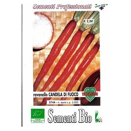 rabanito candela de fuego (semillas ecolÃ³gicas)