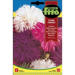 coronado pluma vaiado